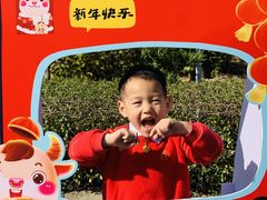 -加蒙特森林幼儿园(广州市增城区店)