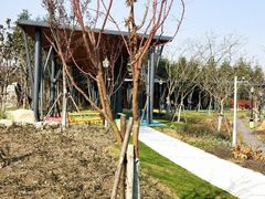 -上海浦江郊野公园-2号停车场