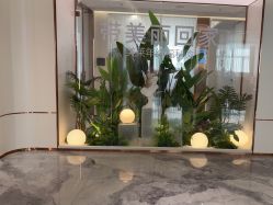 -深圳美莱医疗美容医院