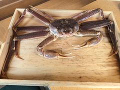 -蟹道乐(道顿堀本店)