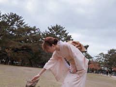 -枫雅和服体验(奈良店)