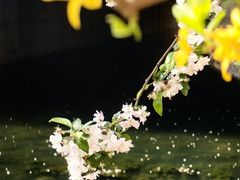 -海棠花溪(元大都城垣遗址公园)