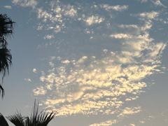 -重庆海昌加勒比海水世界