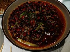 -雲蜀龙阁·金牌水煮鱼(方庄店)