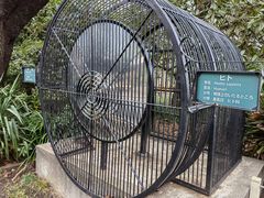-井之头恩赐公园