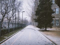 -西门子中国有限公司(阜通东大街店)
