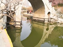 -团结湖公园