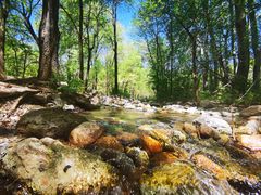 -玉渡山自然风景区
