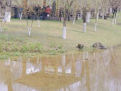 -沐仙湖湿地公园