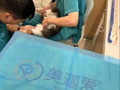 -美迦爱-牙专科·兔科·骨科诊疗中心(北苑店)