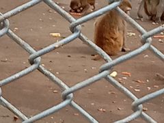 -长白岛森林公园