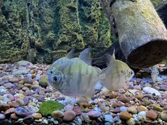 -上海海洋水族馆