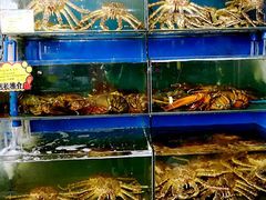 -蚝专家(北滘店)