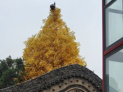 -西安市广仁寺