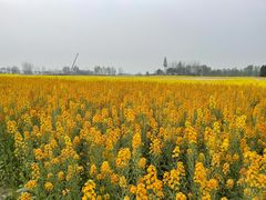 -中国天府农业博览园