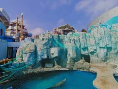 -海合安青岛极地海洋公园