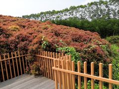 -迪茵湖田家舍生态农场