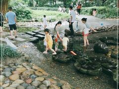 -成都市活水公园