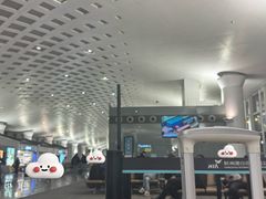 -杭州萧山国际机场