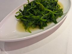 清炒豌豆尖-渝信川菜(工体店)