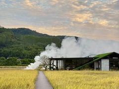 -丰依竹食·老牌竹筒饭