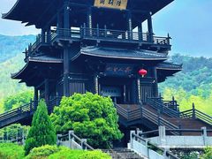 -大唐贡茶院