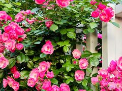 -玄武湖景区-情侣园游乐场