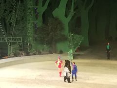 -灵玲国际马戏城