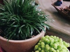 -秦美花卉(天朗·莱茵小城2期店)