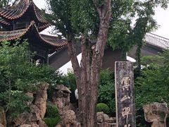 -碑林公园