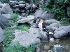 -泰山风景名胜区