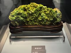 -安徽省地质博物馆