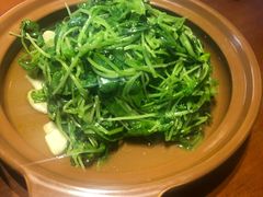 清炒萝卜苗-徽三说·土徽菜·中国徽菜连锁品牌(一中店)