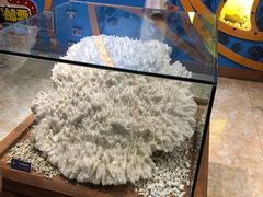 -多彩贵州城极地海洋世界