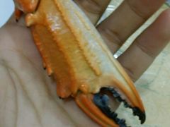 -添福来墨鱼饺子 · 海鲜东北菜(大连星海·黄浦路店)