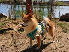 -马家湾湿地公园
