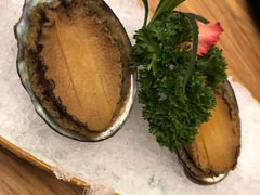 -一本钓鲔鱼屋