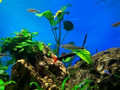 -太平洋海底世界