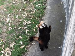 -合肥野生动物园