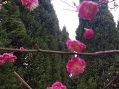 -白塘生态植物园