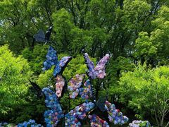 -上海共青森林公园