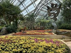 -南山植物园