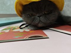 -瑞虹新天地月亮湾
