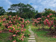 -中国科学院西双版纳热带植物园