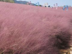 -金孔雀温泉旅游度假村