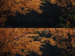 景点-鲁迅公园