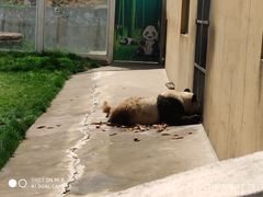 -西安秦岭野生动物园