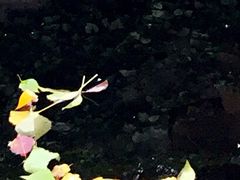 -太湖湖滨国家湿地公园-停车场