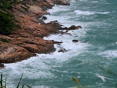 -广东惠东海龟国家级自然保护区