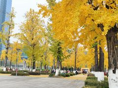 -两江幸福广场